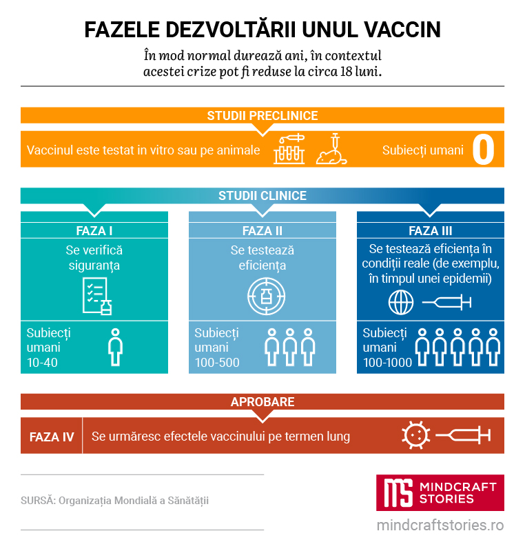 Infografic despre fazele dezvoltării unui vaccin.