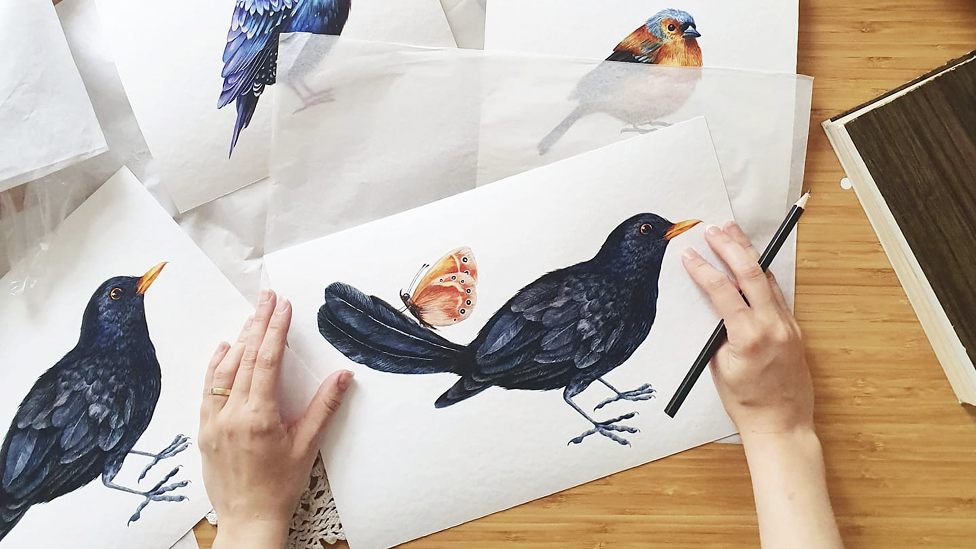 Alexia Udriște - pictură păsări