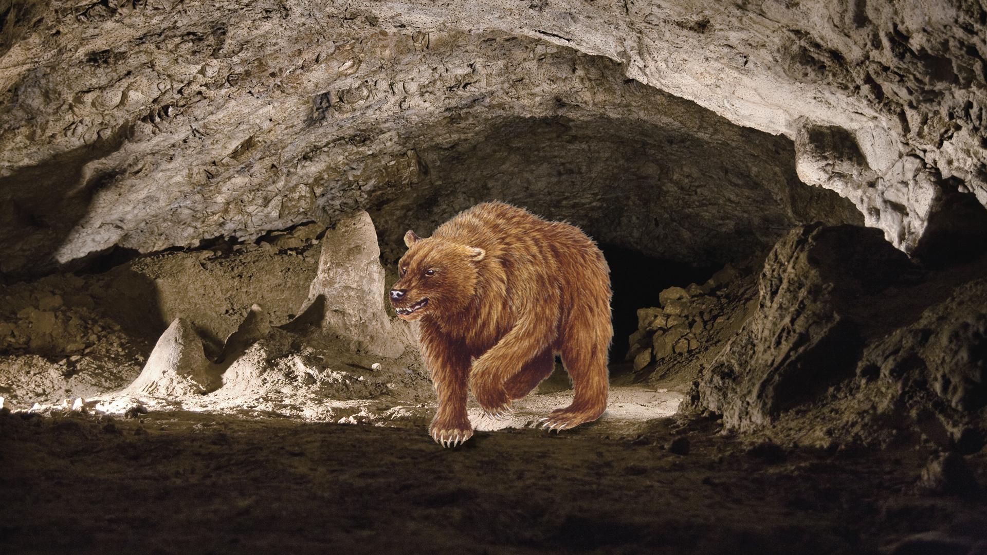 Ursus Spelaeus in a cave