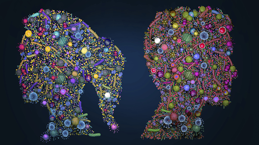Skin microbiota, conceptual illustration