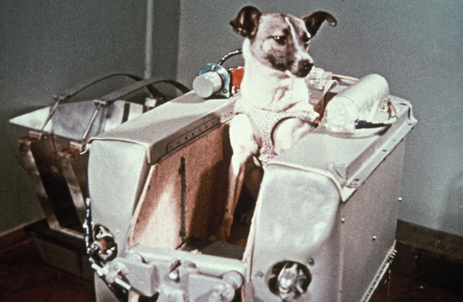 Laika, the first dog in space, in the sputnik 2 capsule. (Photo by: Sovfoto/Universal Images Group via Getty Images)