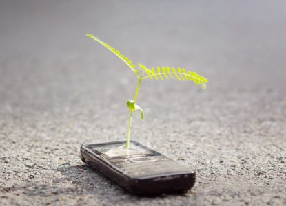 „O faptă bună pentru natură”: telefoanele vechi aduse în magazinele Orange până pe 15 martie contribuie la plantarea unui hectar de pădure