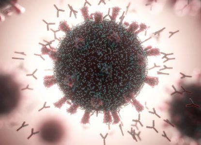 Coronavirus Science Report #45: Noi semne că anticorpii dispar după câteva luni