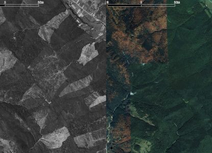 În anii '60, defrișarea pădurilor românești se vedea din spațiu