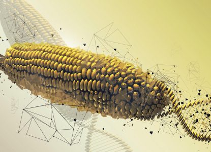 Ar trebui reexaminată editarea genetică în agricultură?